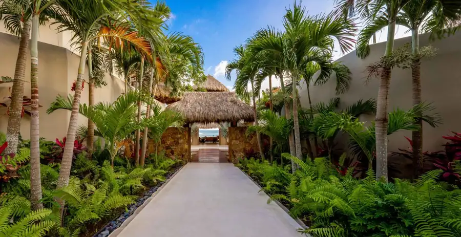 Casa Akama